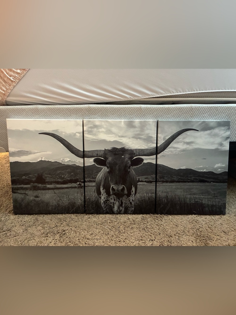 Black & White Longhorn Canvas Wall Art - Rustic Home Decor